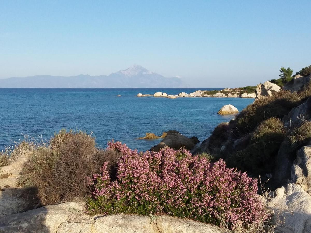 Haus Despina Daire Sarti Dış mekan fotoğraf