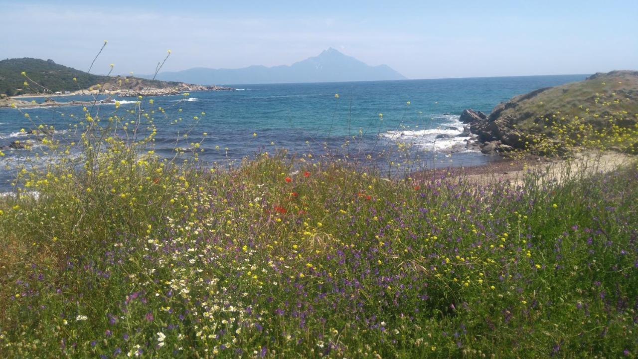 Haus Despina Daire Sarti Dış mekan fotoğraf