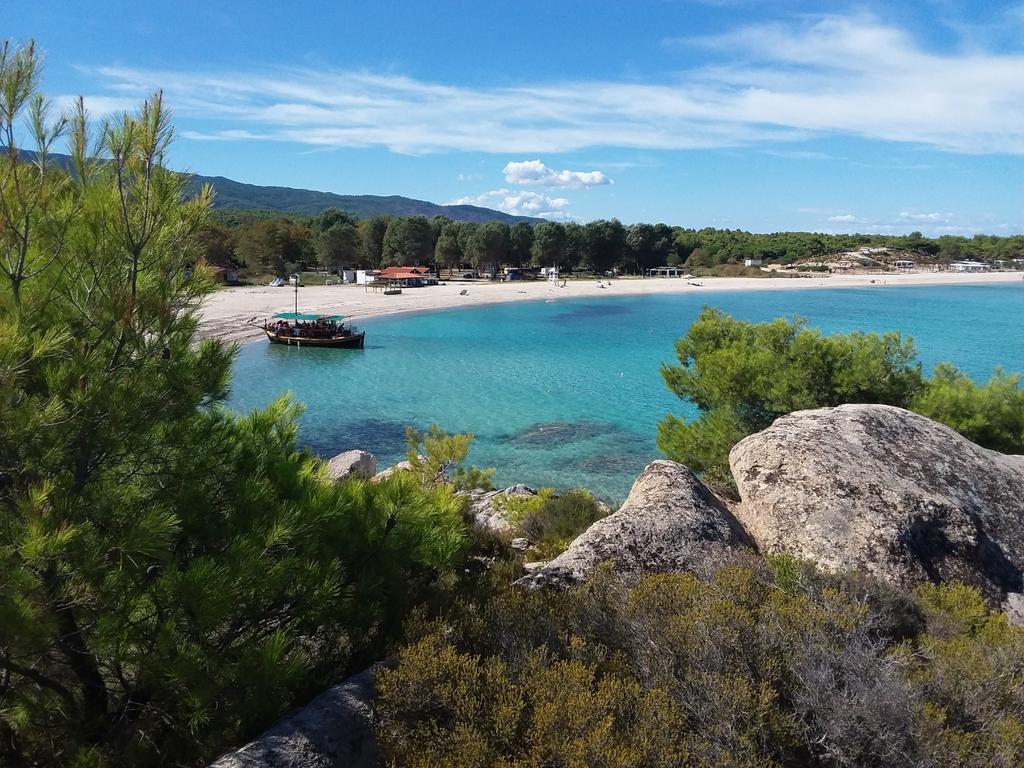 Haus Despina Daire Sarti Dış mekan fotoğraf